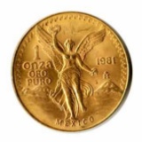 Mexico Gold One Onza (dates our choice)