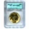 Certified Proof Buffalo Gold Coin 2013-W Reverse Proof PF70 ICG