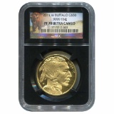 Certified Proof Buffalo Gold Coin 2011-W PF70 Ultra Cameo NGC Black Core