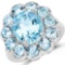 8.67 Carat Genuine Blue Topaz .925 Sterling Silver Ring