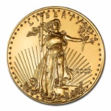 2009 American Gold Eagle 1 oz Uncirculated