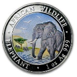 Somalia 1 oz Silver Elephant 2010 (Colorized)