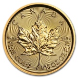 2019 1/10 oz Canadian Gold Maple Leaf Uncirculated