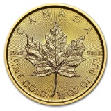 2019 1/2 oz Canadian Gold Maple Leaf Uncirculated
