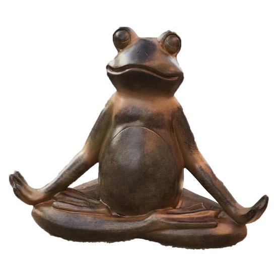 YOGA FROG