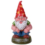 SQUATTER GNOME