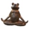 YOGA FROG