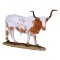 LONG HORN COW