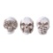 NO EVIL SKULLS SET OF 3