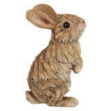 DRIFTWOOD RABBIT