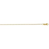 Solid 14K Yellow Gold Oval Link Chain 030 20in. Metal Weight: 2.0 gr 1.3 mm