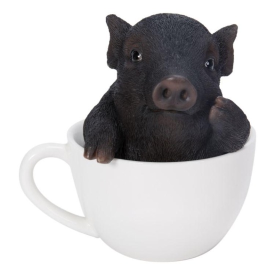 TEA CUP BLACK PIG