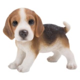 BEAGLE PUP STANDING
