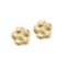 14K Yellow Gold Baby Flower Screwback Earrings