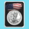 2020 1 oz Silver American Eagle - American Flag