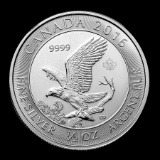 2016 Canada 1/2 oz Silver Bald Eagle Uncirculated