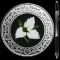 Collectible Floral Emblems - Ontario: White Trillium 2020 RCM 1/4 oz Ag