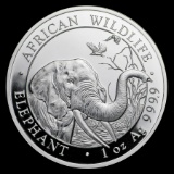 Somalia 1 oz Silver Elephant 2018
