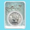 1922-1935 Peace Silver Dollar Snowy Birds BU (Random Year)