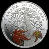 2013 Canada 1 oz Silver $20 Maple Canopy Autumn