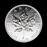 2003 Silver Maple Leaf 1 oz Uncirculated