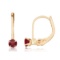 14k Petite Garnet Leverback Earrings 0.2 CTW