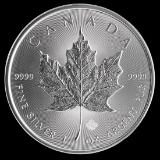 2015 Silver Maple Leaf 1 oz Uncirculated