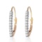 0.3 Carat 14K Solid Gold Leverback Earrings Natural Diamond