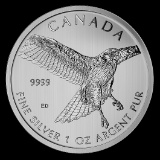 Canadian Silver 1 oz Red-Tailed Hawk 2015 (Birds of Prey Series)