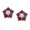 Certified 14k White Gold Ruby and Diamond Floral Star Earrings