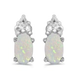 Certified 14k White Gold Oval Opal Earrings