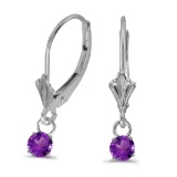 Certified 14k White Gold 5mm Round Genuine Amethyst Lever-back Earrings