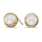 Certified 14k Yellow Gold Pearl Bezel Stud Earrings