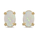 Certified 14k Yellow Gold Oval Opal Earrings 0.38 CTW