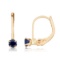 Certified 14k Petite Sapphire Leverback Earrings