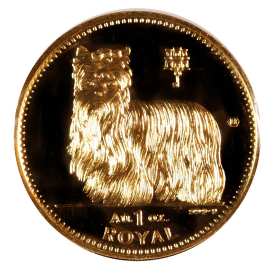 Gibraltar One Royal Gold 1997 Yorkshire Terrier