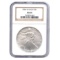 Burnished 2006-W Silver Eagle MS69 NGC