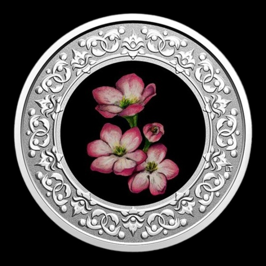 2020 RCM 1/4 oz Ag $3 Floral Emblems - Nova Scotia Mayflower