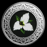 2020 RCM 1/4 oz Ag $3 Floral Emblems - Ontario: White Trillium