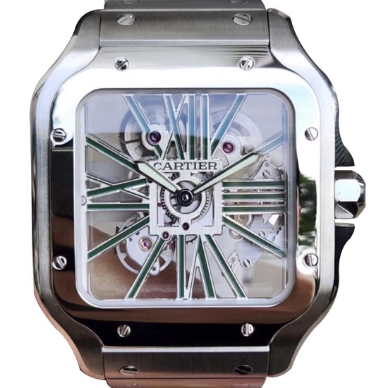 Brand New Cartier Skeleton Comes with Box & Papers