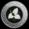 2020 RCM 1/4 oz Ag $3 Floral Emblems - Ontario: White Trillium
