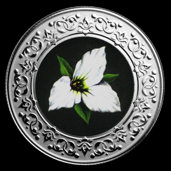 2020 RCM 1/4 oz Ag $3 Floral Emblems - Ontario: White Trillium