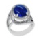 8.04 Ctw SI1/SI2 Tanzanite and Diamond 14k white Gold Engagement Ring ( (AL