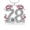 9.72 Ctw VS/SI1 Ruby And Diamond Style Prong Set 14K White Gold Poker theme