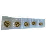 Chinese Gold Panda 5 Coin Proof Set 1991 Double Seal (w COA)