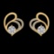 2.99 Ctw SI1/SI2 Diamond 10k Yellow Gold Earrings (ALL DIAMOND ARE LAB GROW