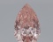 1.64ct VVS2 Pear cut IGI Certified Loose Diamond (LAB GROWN)