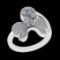 0.97 Ctw VS/SI1 Diamond 10k white Gold Engagement Ring (ALL DIAMOND ARE LAB