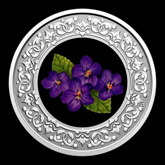 2020 RCM 1/4 oz Ag $3 Floral Emblems - New Brunswick: Violet