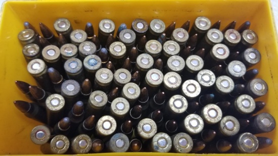 110 Rounds of .223 Rem Ammo